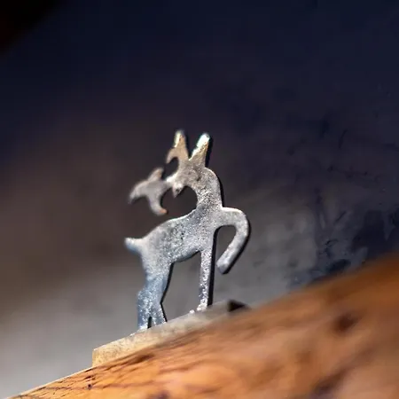 Residenz Wildkogelbahnen 7 Appartamento *