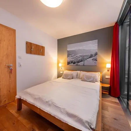 Residenz Wildkogelbahnen 7 Appartamento